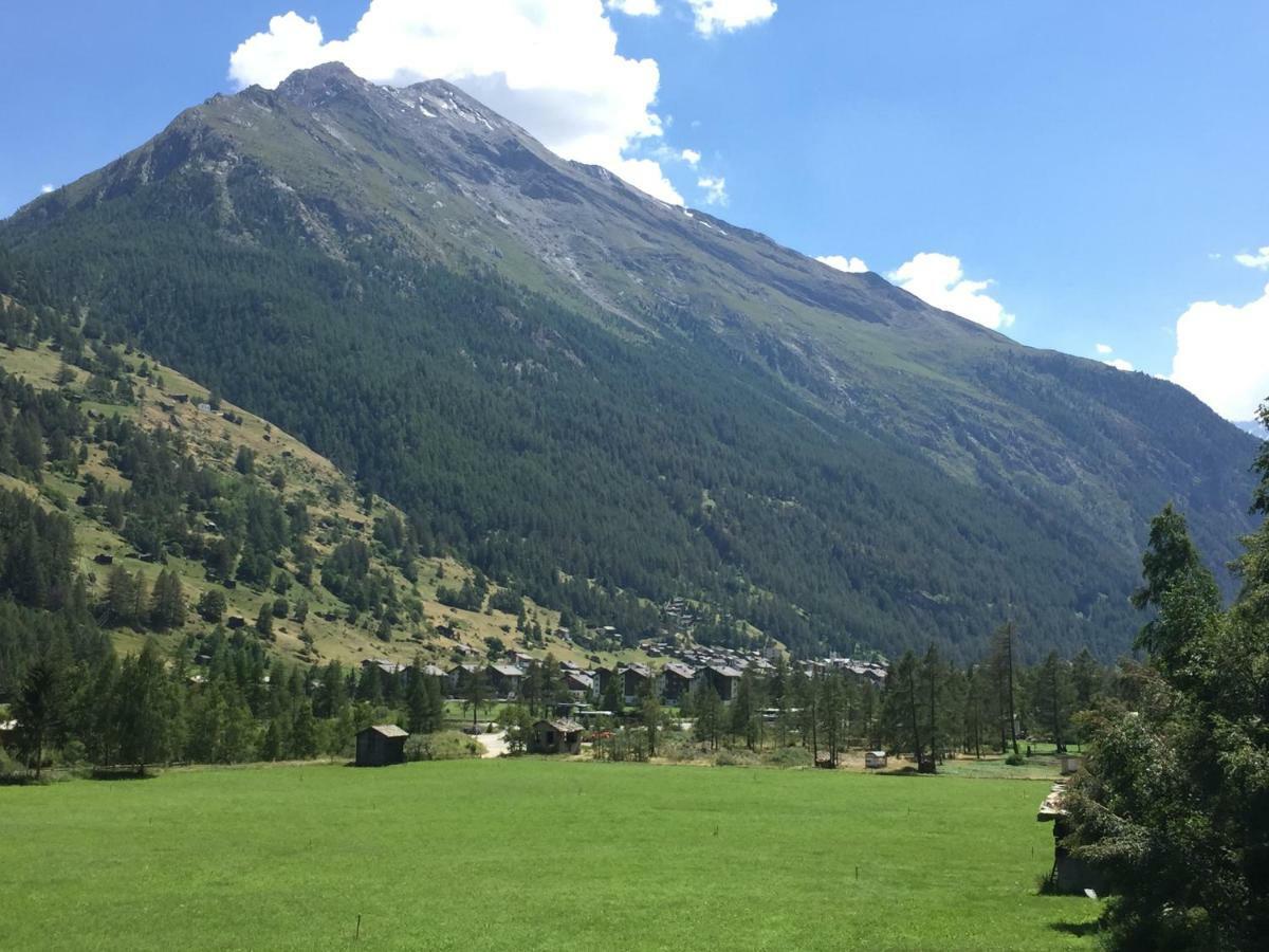 الشقق الفندقية تاشفي  Monte Rosa D 412 المظهر الخارجي الصورة